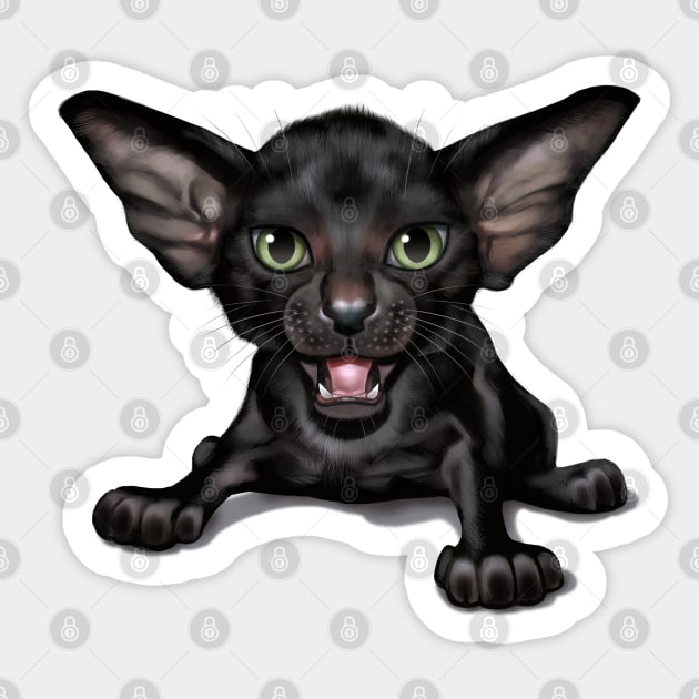 Cat-a-clysm Oriental shorthair kitten Sticker by ikerpazstudio